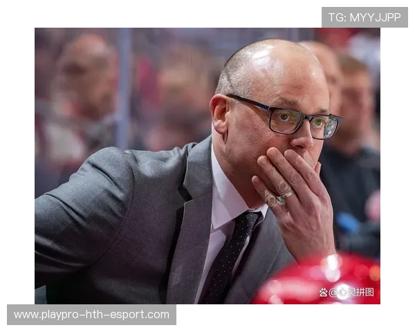 成熟泰尔齐奇，迎接全新挑战与机遇，泰尔什么意思