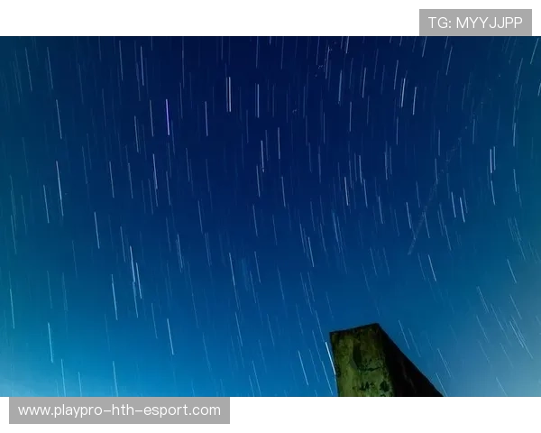 表现亮眼成为焦点✨（238 ）
