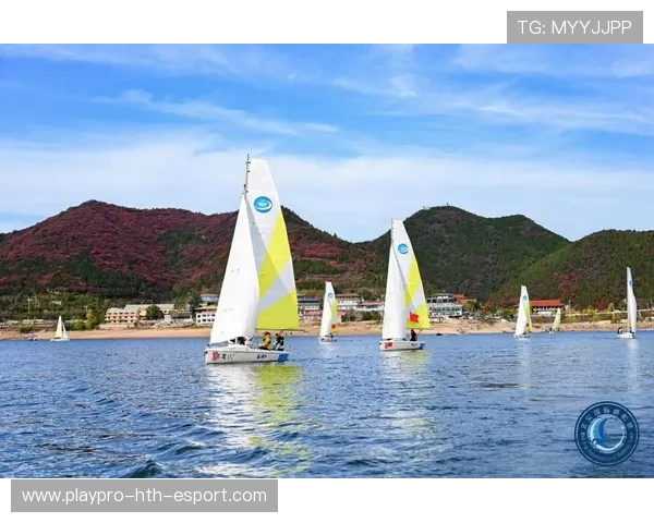 世界帆船赛技术领先队伍优势明显，世界帆船锦标赛基地